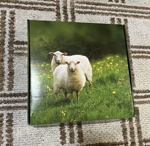 Desert Breeze Beginner’s Needle Felting Kit