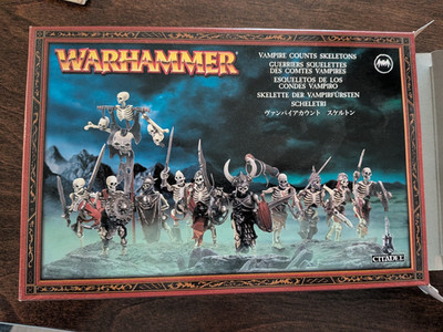 Warhammer Fantasy Vampire Counts Skeleton Warriors   Partial Kit w/ Box