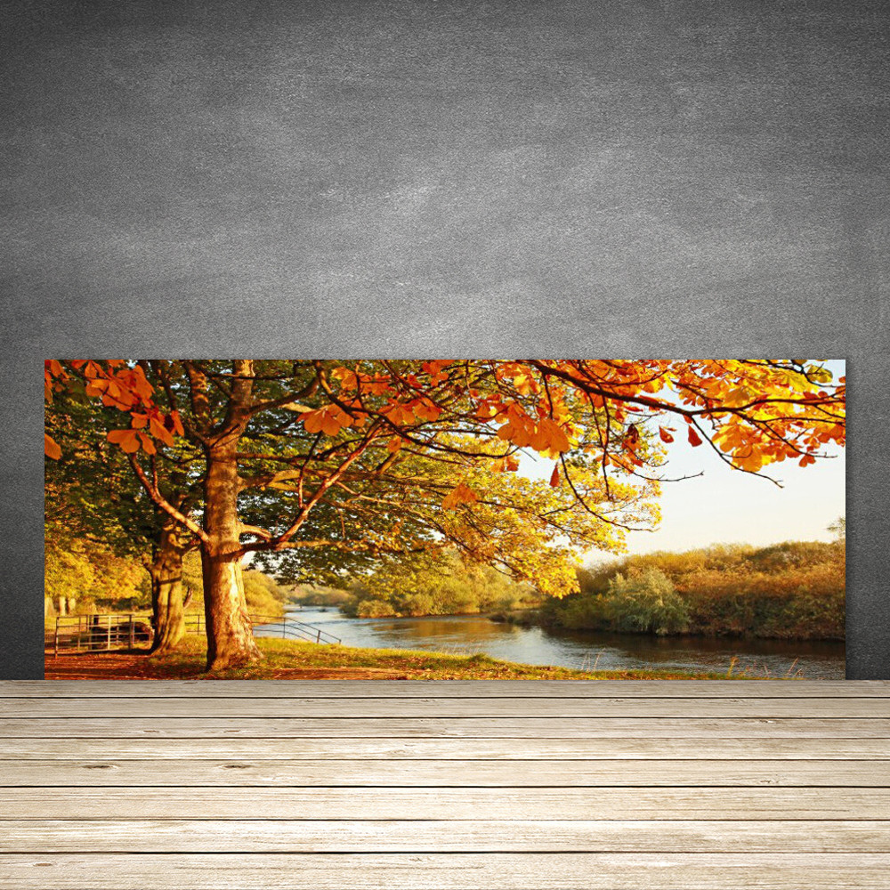 Crédence de cuisine en verre 125x50 cm panneau mural fond de hotte motif nature de lac