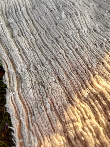 Neutral Undyed Textured Cotton Stretchy Crinkle Fabric By 2 Meters. - Picture 4 of 19