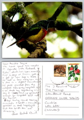 c22382 Regal Sonne Vogel Uganda Postkarte 2015 Schlangenmarke
