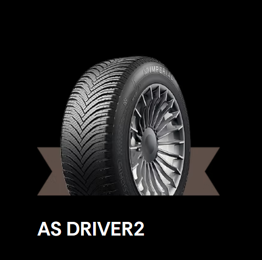 AS Driver 2 3PMSF - Bild 2
