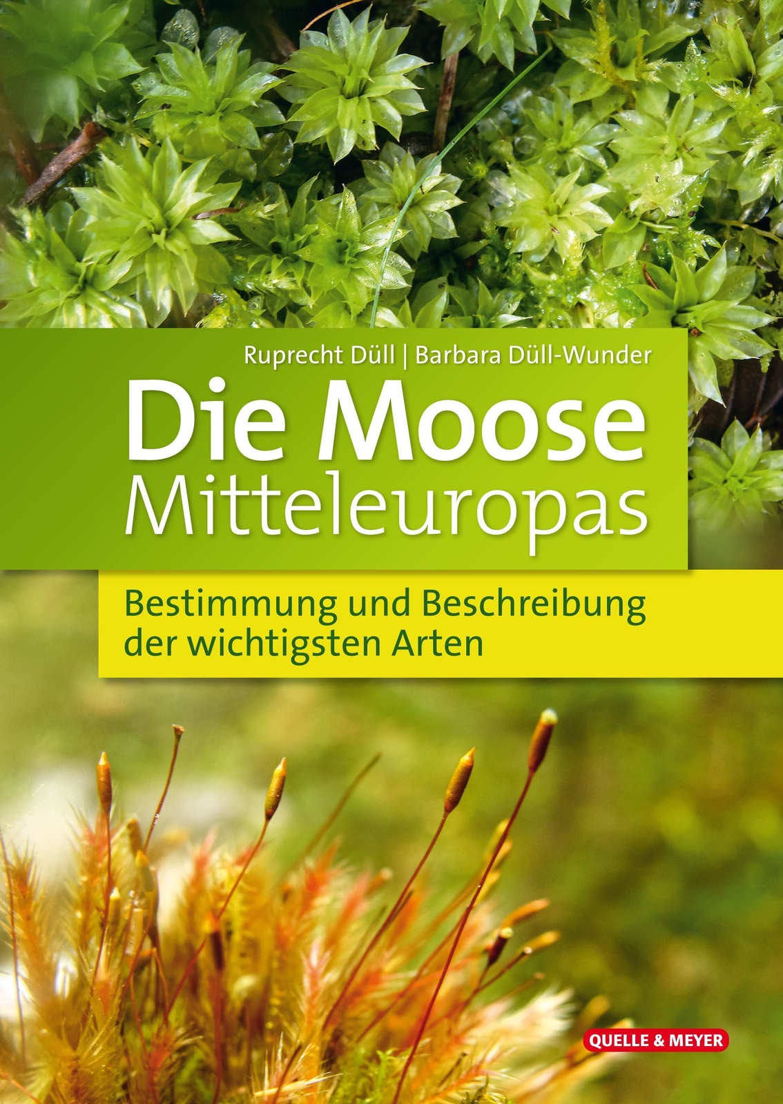 Thumbnail - Die Moose Mitteleuropas, Ruprecht Düll