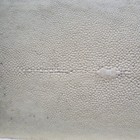 REAL Shagreen Stingray Decorative or Serving Tray by R&Y Augousti Paris