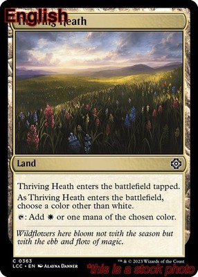 EN - Thriving Heath - 363 - LCC - NM