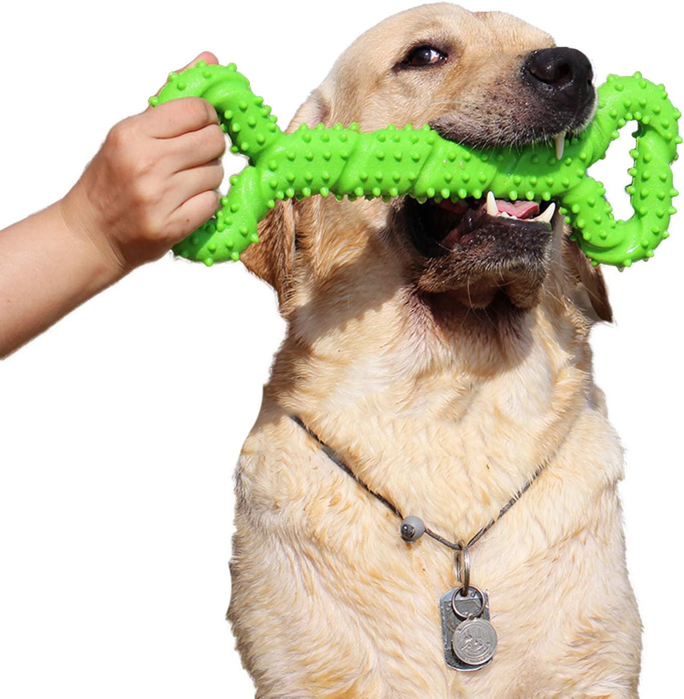 Giocattolo Osso per Cani XL - Gomma Dura 13 Pollici per Momenti Insieme
