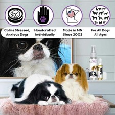 Japanese Chin Dog Aromatherapy  Calms Nervous, Anxious, Scared Dogs Naturally