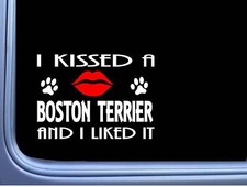 Boston Terrier kissed L869 8" dog window decal sticker