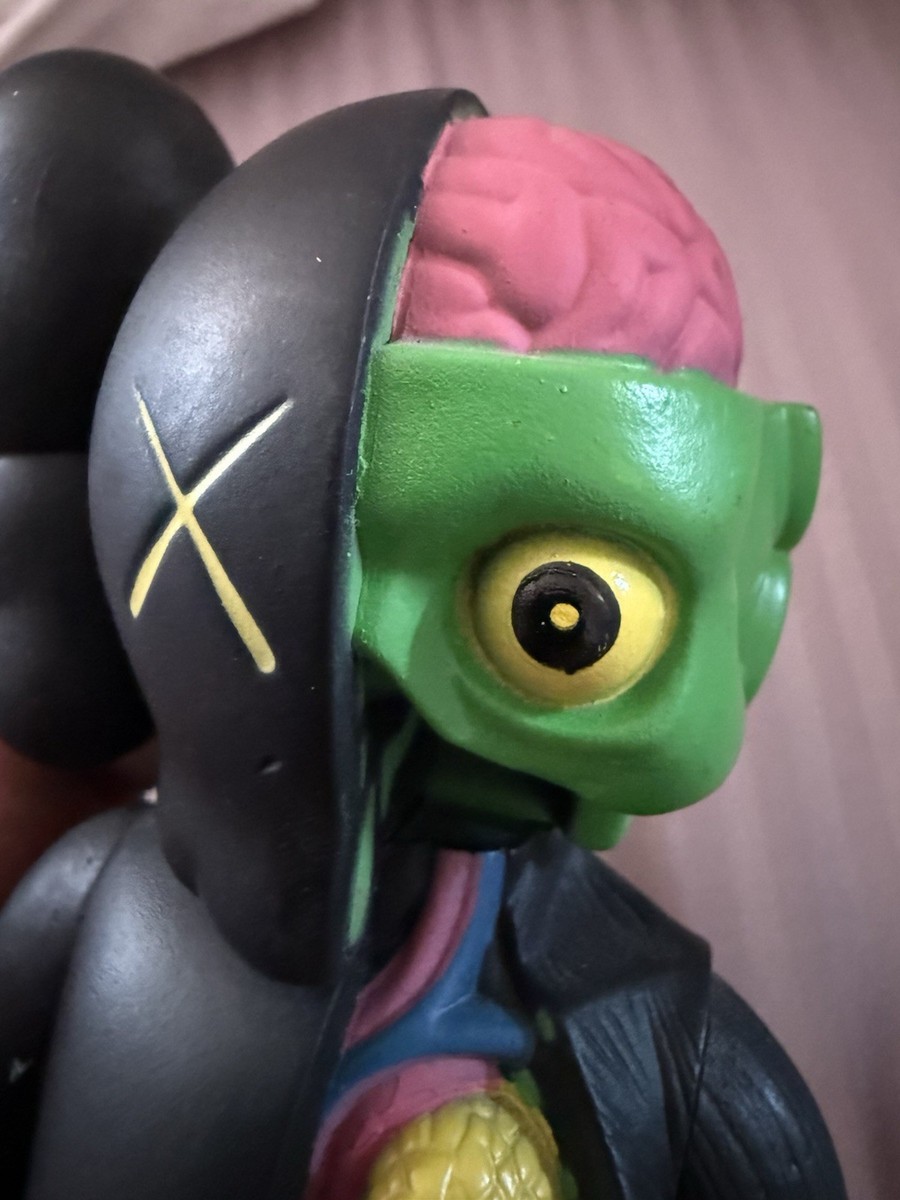 KAWS 16 Anatomy Dissected Companion Vinyl Figure Black 8” Art Toy