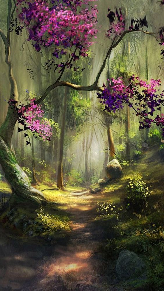 Toile tableaux forêt fantastique 50x70 grand format deco murale