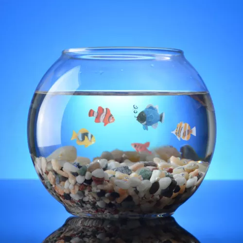 12PCS Tropical Fish Ocean Model Toy Fish Figurines Ocean Animals Toys for Play - Picture 5 of 13