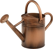 Metal Watering Can for Outdoor and Indoor Plants, Watering Can Decor, 1 Gallo...