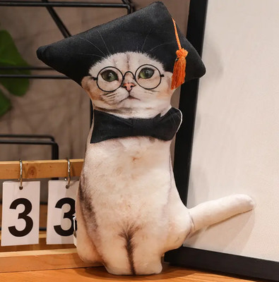 Graduate Cat 3D Pillow Plush Toy 11'' Stuffed Animal Toddler Doll Gift Kids