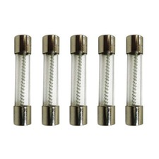 Slow Blow Fuse - 10 Amp - MDL, 32V - Set of 5