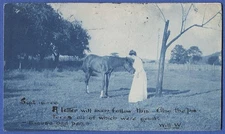 US UX18 1c McKinley Postal Card Used Lafayette, IN Flag cancel + Blue view Horse