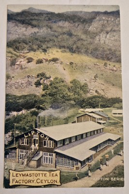 Used 1908 Postcard Lipton Tea Factory Bunyan Estate Ceylon D31