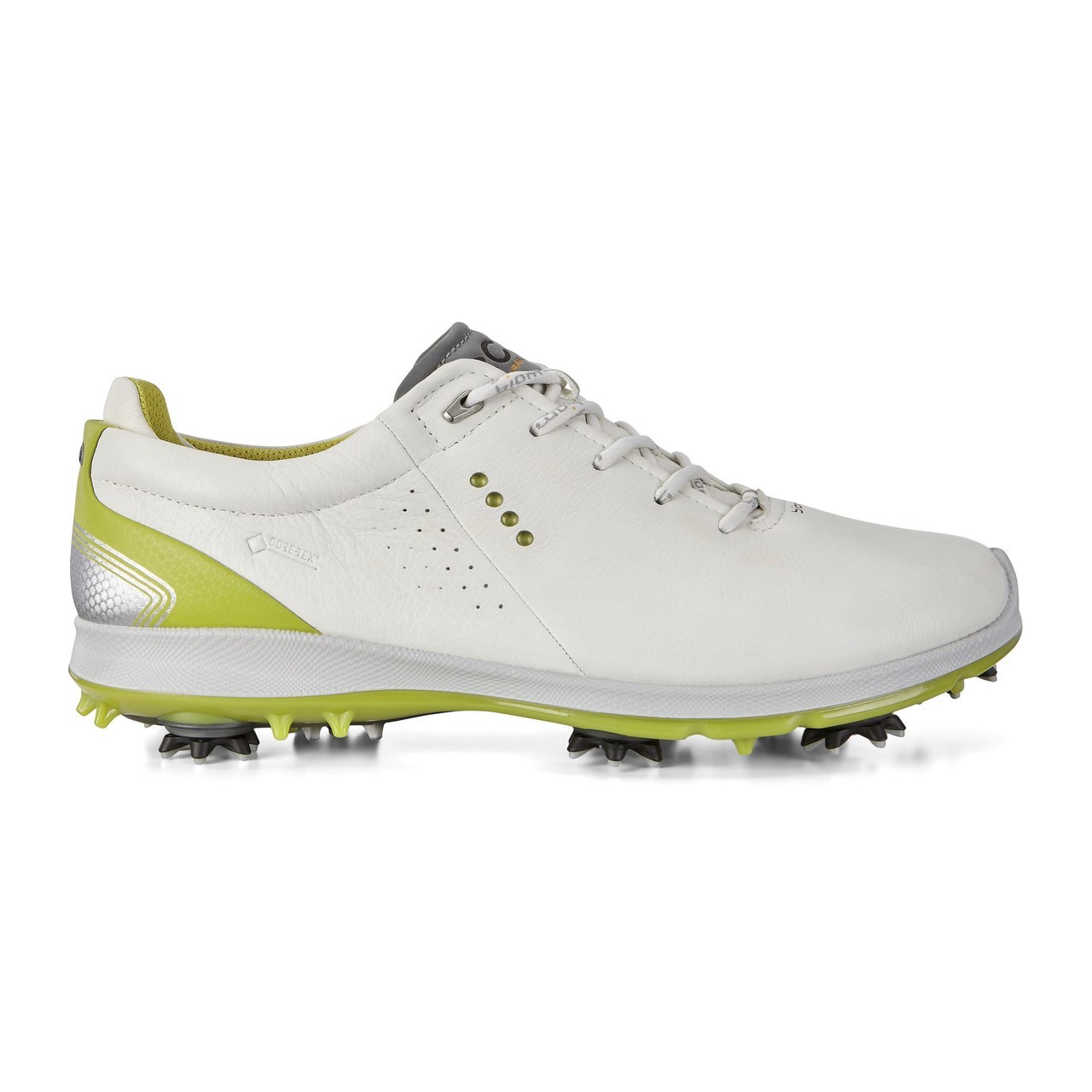 ecco men's biom g2 golf shoe