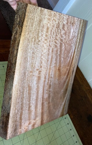 Una tavola legno di mogano hawaiano riccio ~15 2/3" x 11" x 1" (#566) - Foto 2 di 8