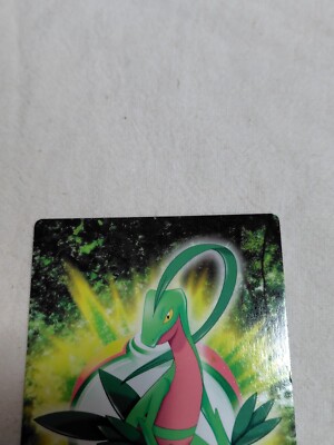 Grovyle Pokemon Japanese Carddass Zukan Card Nintendo A3007 | eBay