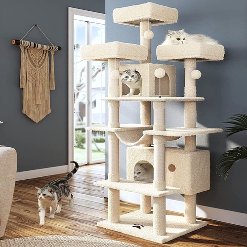 is eucalyptus oil safe for cats and dogs