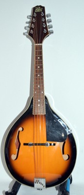 Rogue RM-100A  Mandolin