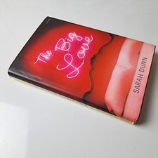 Fiction Novel Big Love Sarah Dunn Hardcover First Edition Debut 