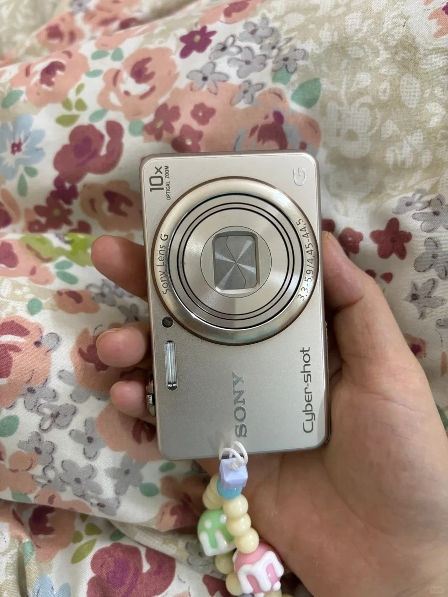 Sony DSC-WX220海外バージョン中古 Sony Câmera digital DSC-WX220 de 18 megapixels, zoom óptico de 10x