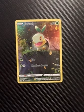 Turtwig GG31/GG70 Crown Zenith: Galarian Gallery Holo