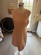 NWT Ann Taylor Pale Pink Size 10 Sheath