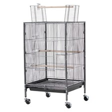 Bird Cage Open Flat Top Design Durable Wrought Iron Construction with Perches