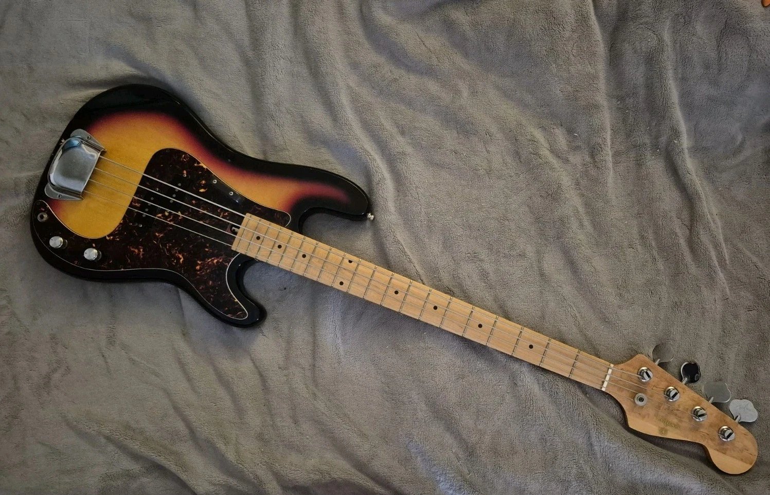 Picture 1 of 24