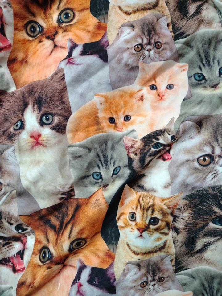 BIOWORLD Swim Trunks Men XL Kittens All Over Print Lined Drawstring Summer Beach - Image 2 of 4