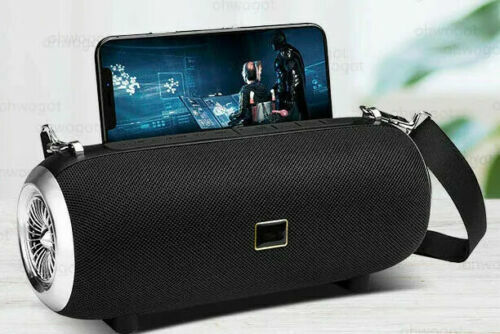 Haut-parleur Bluetooth 40W avec double radiateur de basses pour l'extérieur