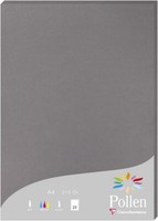 Clairefontaine Pollen Papier Dunkelgrau 210G/M² DIN-A4 25 Blatt Briefpapier