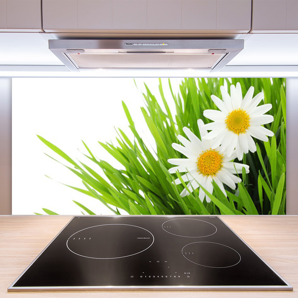 Paroi de cuisine en verre imprimé Marguerite Herbe 100x50cm