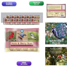 Blue Seal Nuts  Berry Suet Cakes 11oz for Birds Pack of 12 