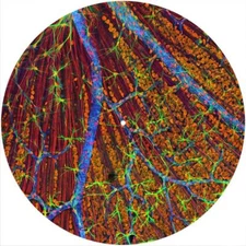 Slipmat Slip Mat Pad Felt for 12" Turntable LP DJ Record Vinyl Player CELLS 7