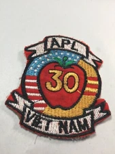 US Military - Color Patch APL 30 Vietnam (foreign made patch)