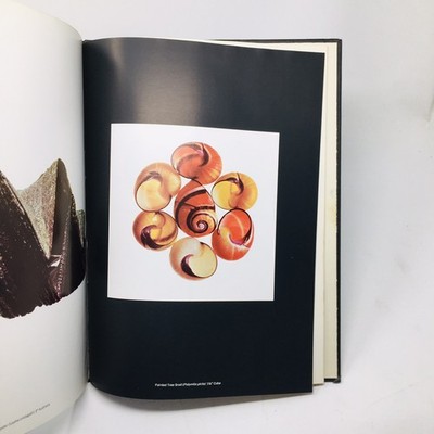80s ヴィンテージ ジャマイカ 雑誌 ROOTS VIEW s-l400.jpg