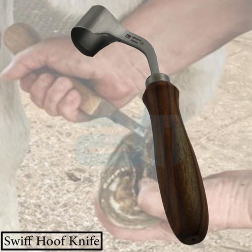 Hoof Tool Farrier Tool Horse Care Loop Trimmer Medium Scraping Hoof Rasp - Picture 3 of 6