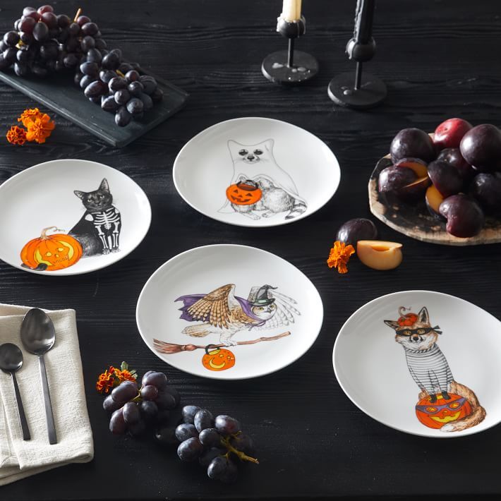 West Elm Dapper Animals Plate Halloween Costume Rachel Kozlowski
