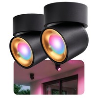 2X Ayona Aufbauspot Schwenkbar IP54 Schwarz Gold Smart GU10 Rgb Cct Deckenspot