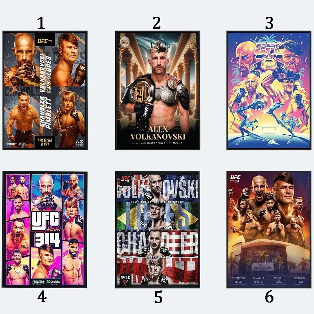 UFC 314 2025 Sports Poster Unframed Print for Fans