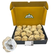 Break Your Own Geodes! IN BOX | Raw, Uncut Crystal Geode Specimens | SMALL White