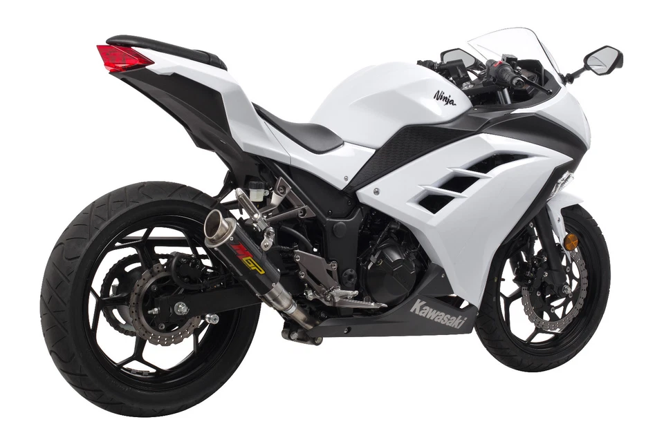 Ninja 300 MGP Growler 2013-2017 escape de fibra de carbono carrocerías calientes deslizables 2015 2016 Foto 4 de 4