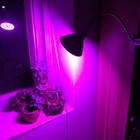 Bild 3 von 8