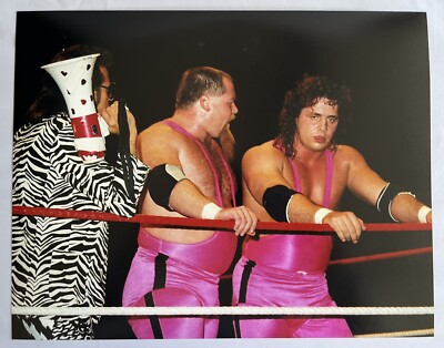 The Hart Foundation 11x14 Photo Wrestling WWF Print WWE Poster WCW