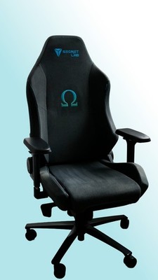 Secretlab Omega 2020 Gamingstuhl   guter Zustand
