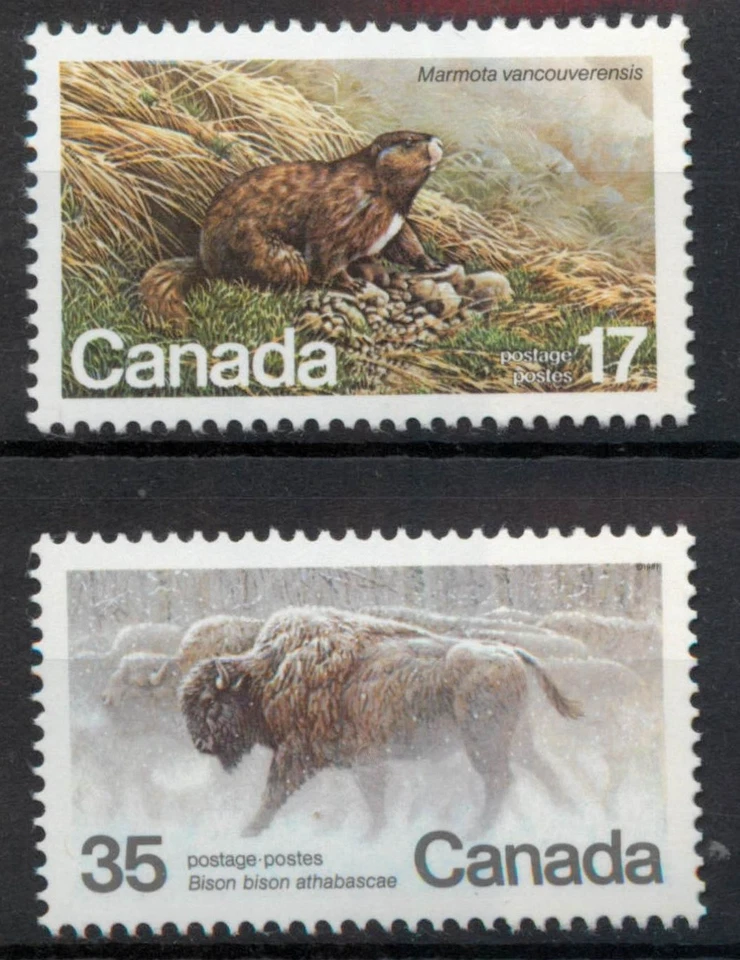 Canada 1981 Endangered Wildlife 5th series set SG 1006-1007 MNH mint - Image 1 of 1