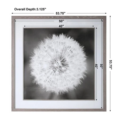 Uttermost Dandelion Seedhead Wood and Glass Framed Print in Black/White - Picture 9 of 9